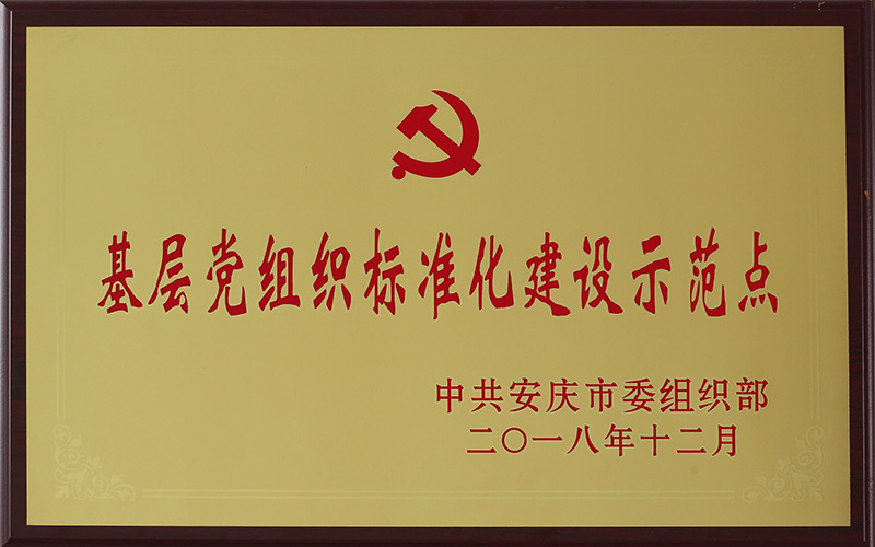 基層黨組織標(biāo)準(zhǔn)化建設(shè)示范點(diǎn)